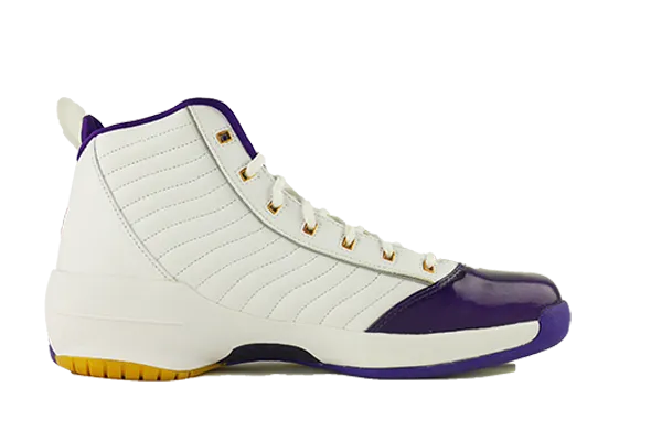 Air Jordan 19 SE Lakers