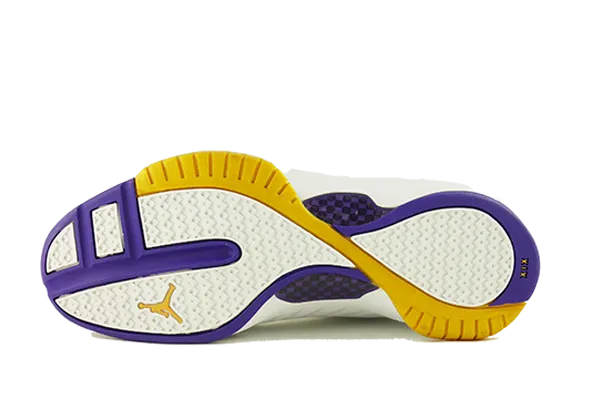 Air Jordan 19 SE Lakers