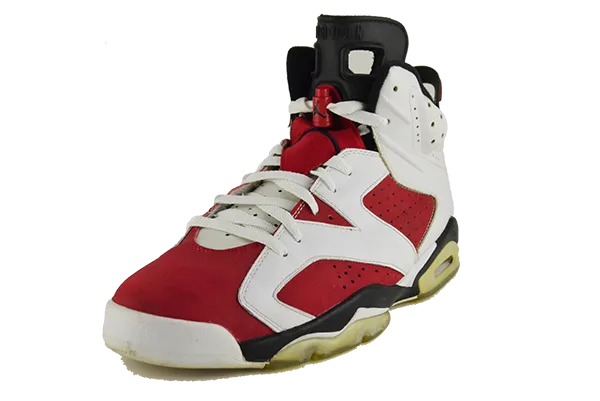 Air Jordan 6 (CDP)