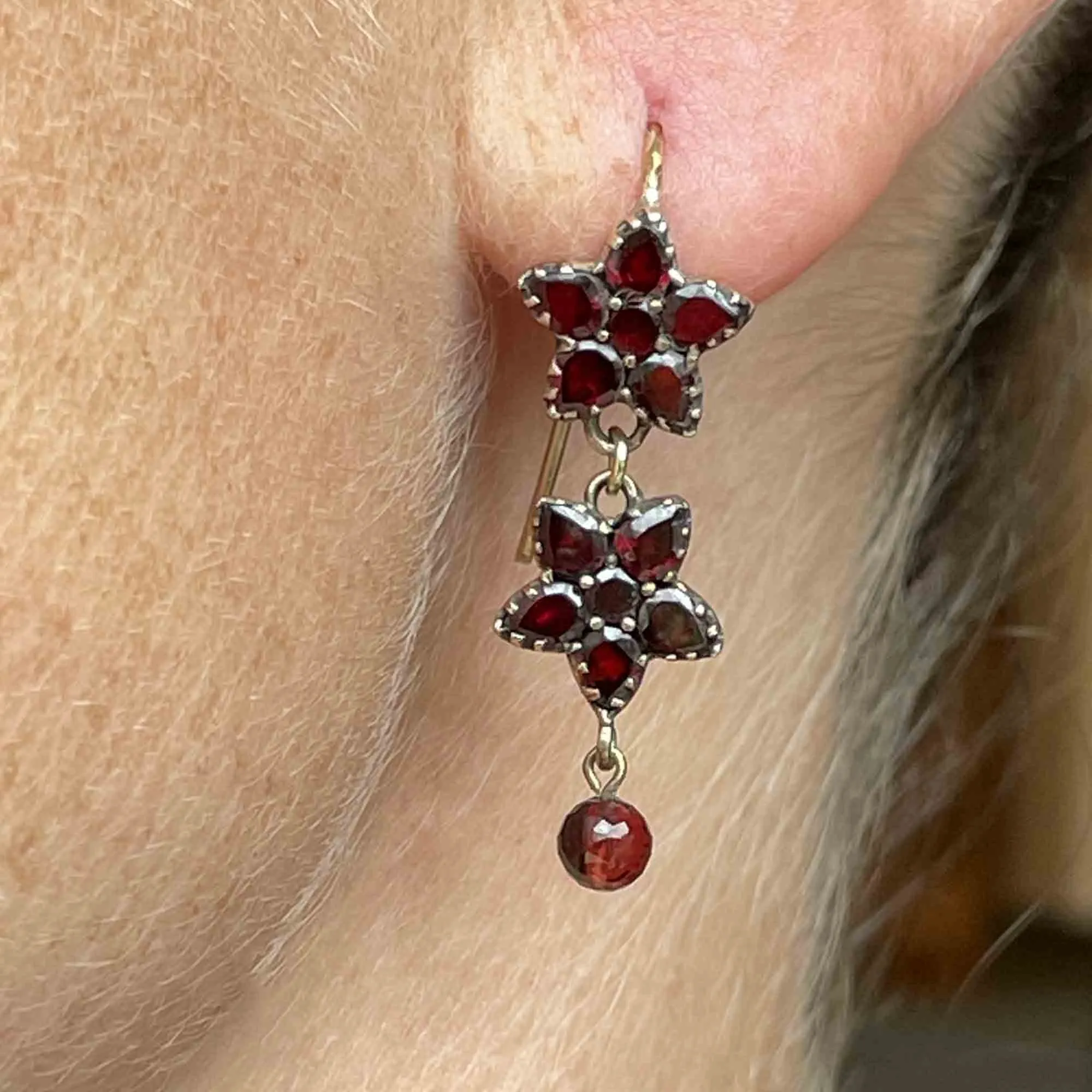 Antique Rolled Gold Garnet Star Flower Drop Earrings