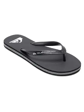 Quiksilver Men's Molokai Core Flip Flops